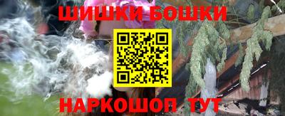 дмт Новокубанск