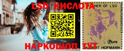 дмт Новокубанск