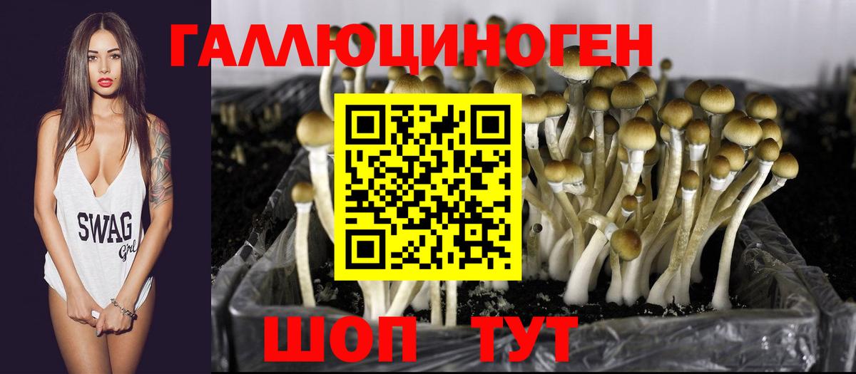 Строитель  Галлюциногенные грибы Magic Shrooms  Псилоцибиновые грибы мухоморы  где найти   Вход с VPN 